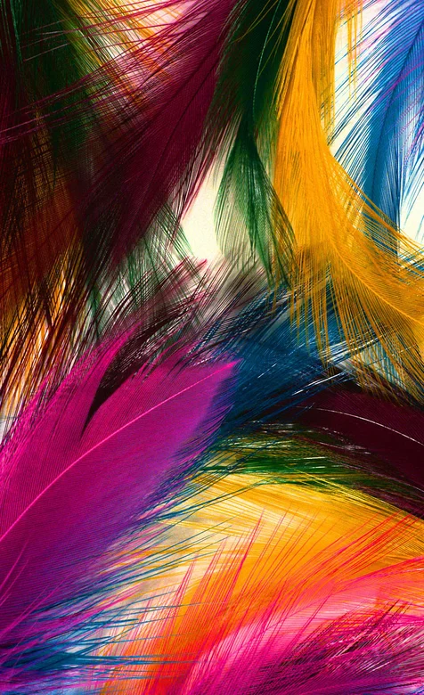 绚丽羽毛手机桌面