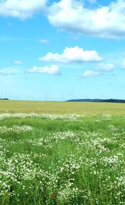 蓝天白云手机壁纸