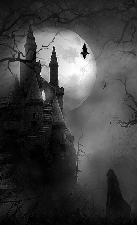 黑暗月色下的城堡