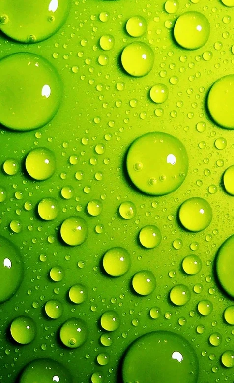 绿色高清的水珠写真手机桌面