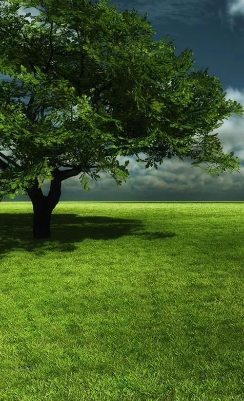 意境大树独照手机高清壁纸