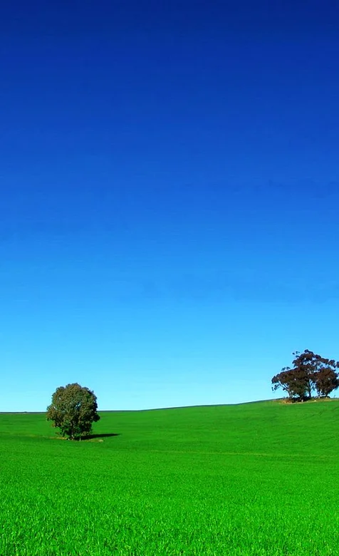 草地系列手机壁纸