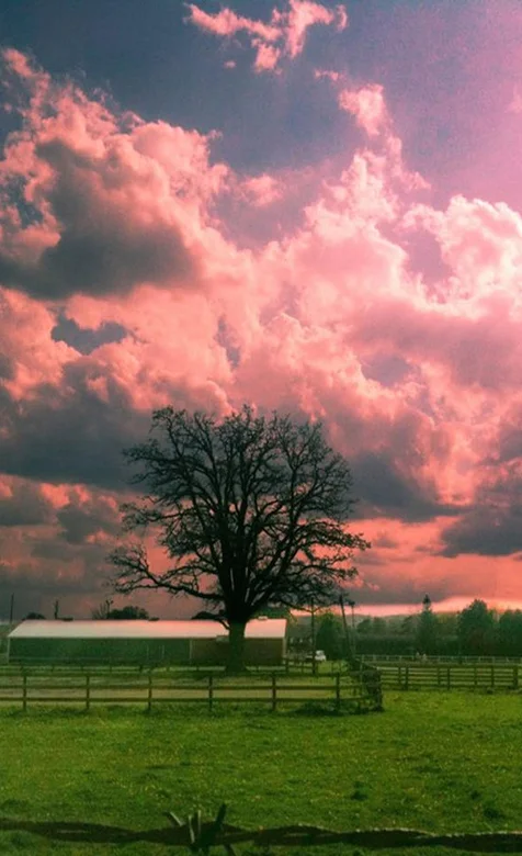 粉红色的云彩手机壁纸