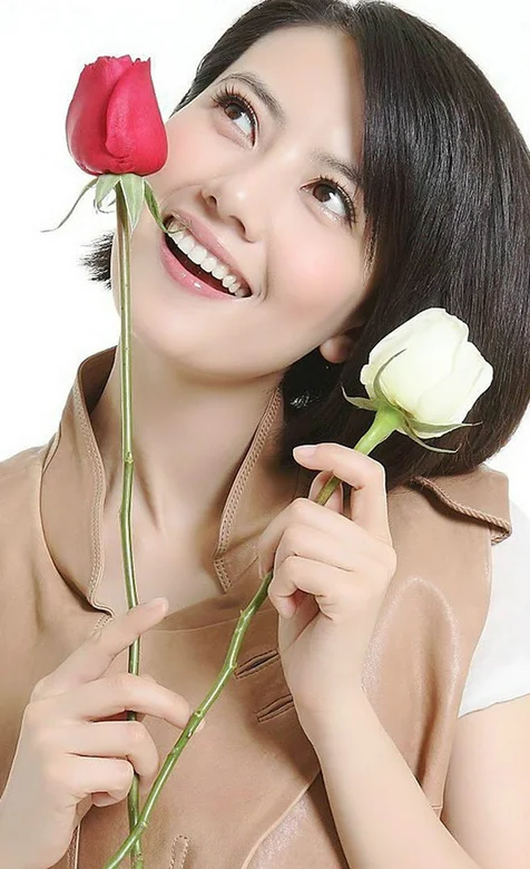 玫瑰与高圆圆