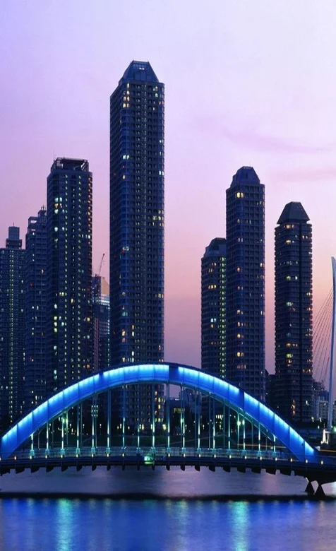 海边的高层建筑繁华夜景手机壁纸