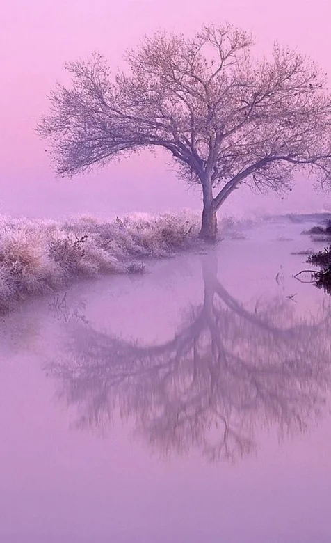 梦幻一样的风景手机图片