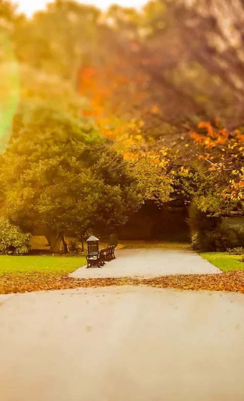 袖珍的秋季手机图片不一样的意境