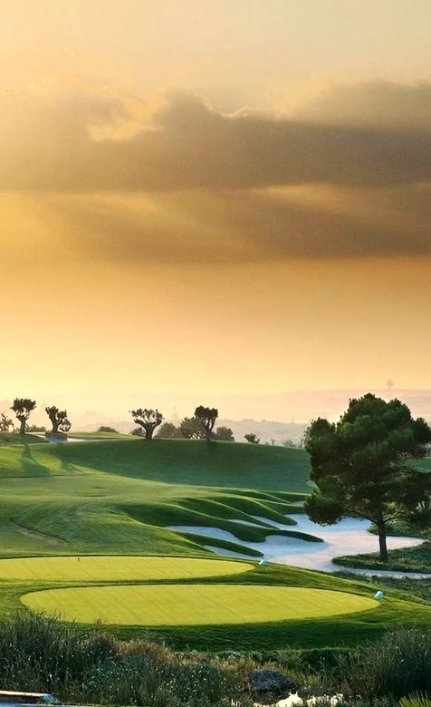 草地意境唯美手机壁纸