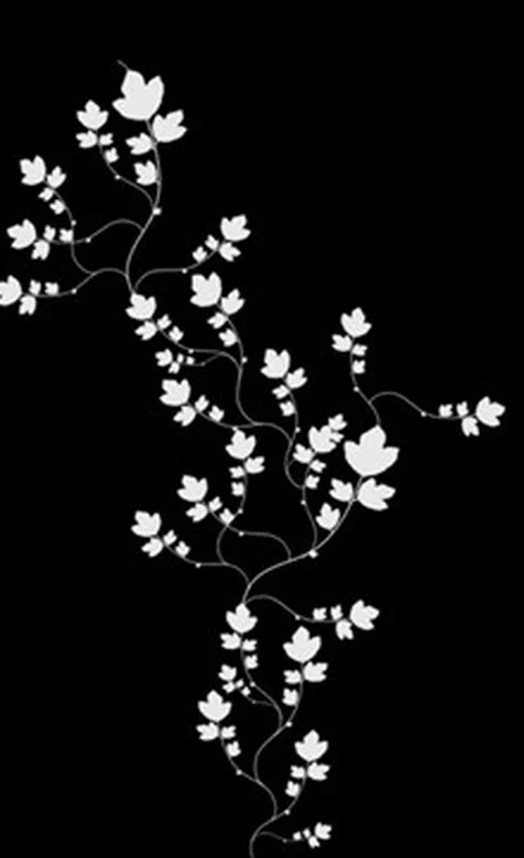 精美花图腾手机桌面壁纸