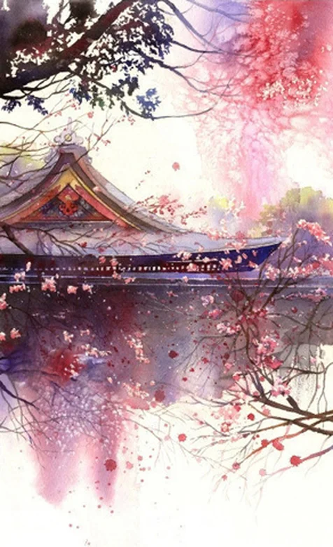 日本樱花之美手机壁纸