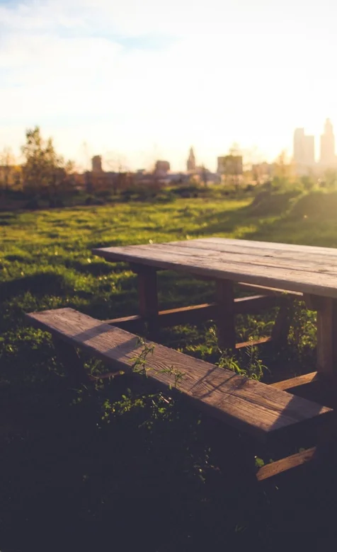 草地上的餐椅风景手机壁纸