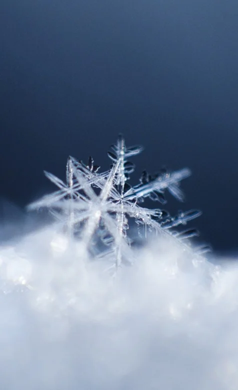 唯美的雪花高清手机壁纸下载