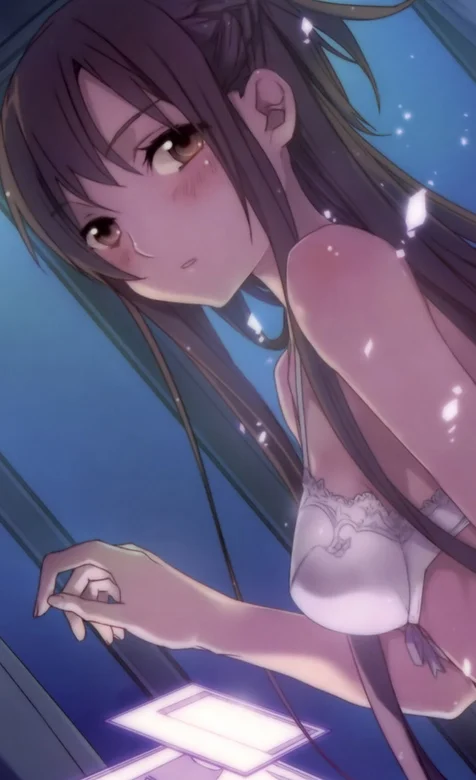 刀剑神域内衣动漫美女手机壁纸