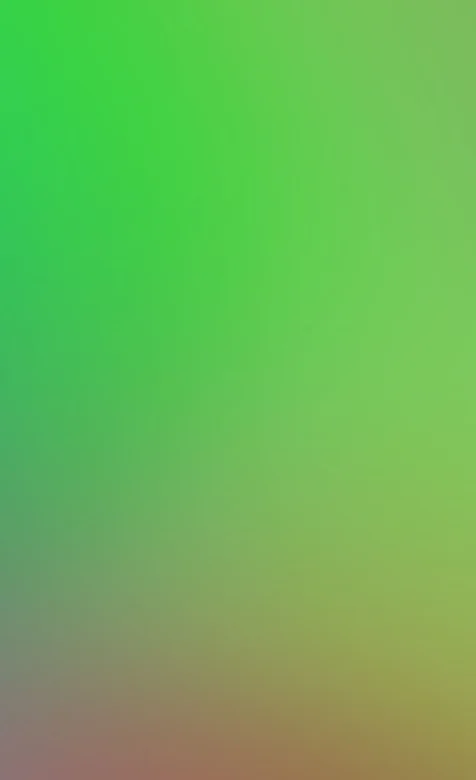 绿色精美简约手机桌面