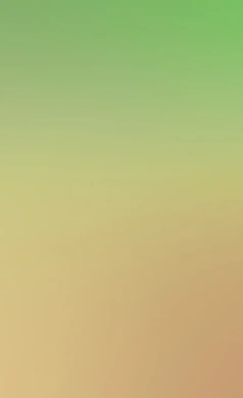 绿黄色渐变简约手机壁纸