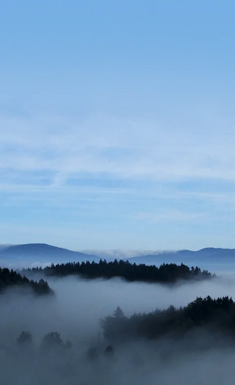 山顶的云海高清手机壁纸免费下载