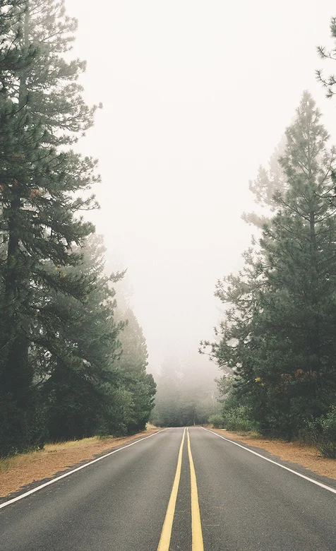 清新的林中公路手机背景