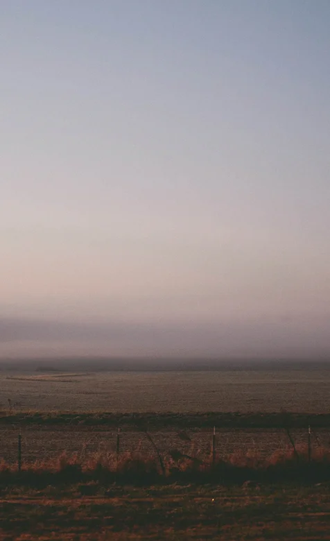 宽阔的雾下草原手机桌面背景