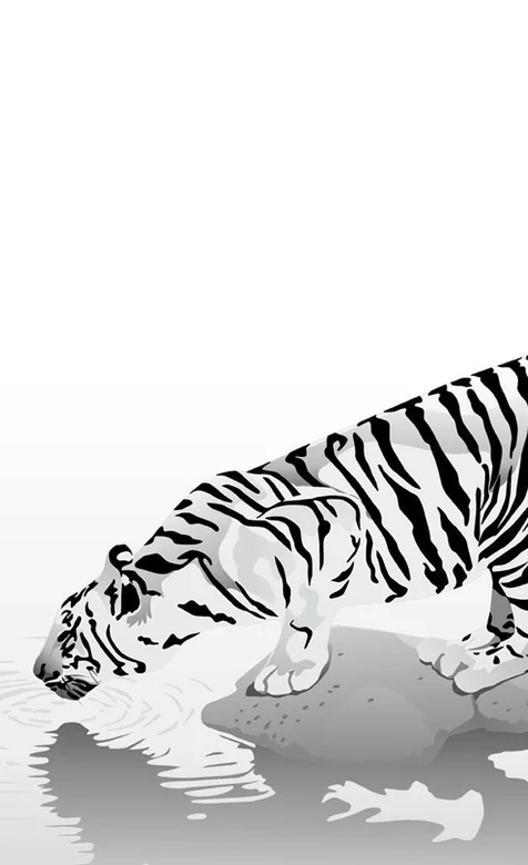 手绘的白虎手机壁纸图片