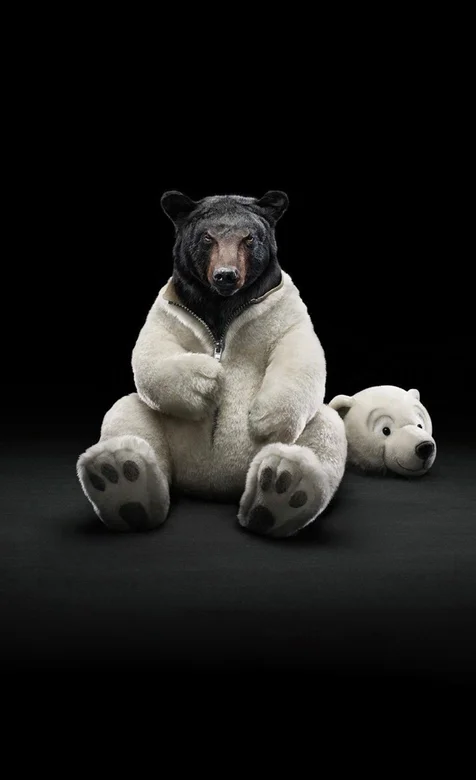 穿着白熊外套的黑熊个性手机壁纸