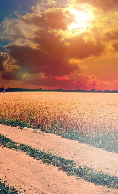 夕阳下唯美的土路手机壁纸