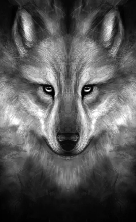 凶煞的狼头部特写手机壁纸