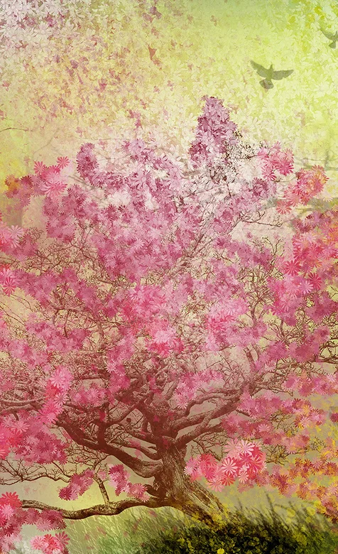 手绘樱花树高清手机图片