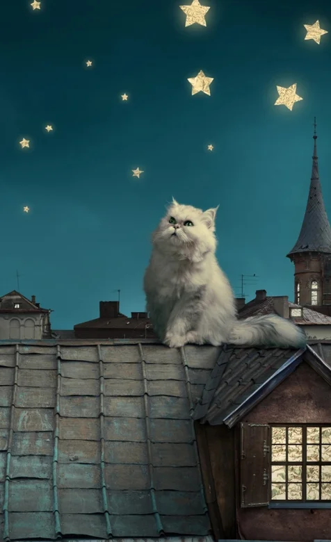 屋顶上的猫咪可爱手机桌面