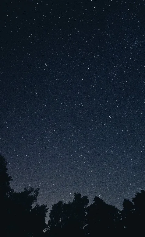 森林里漫天繁星的夜空