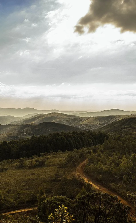 走入森林走入自然-高清大自然山脉手机壁纸