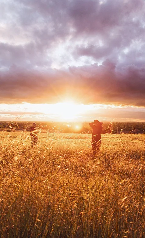 麦田上的夕阳手机壁纸