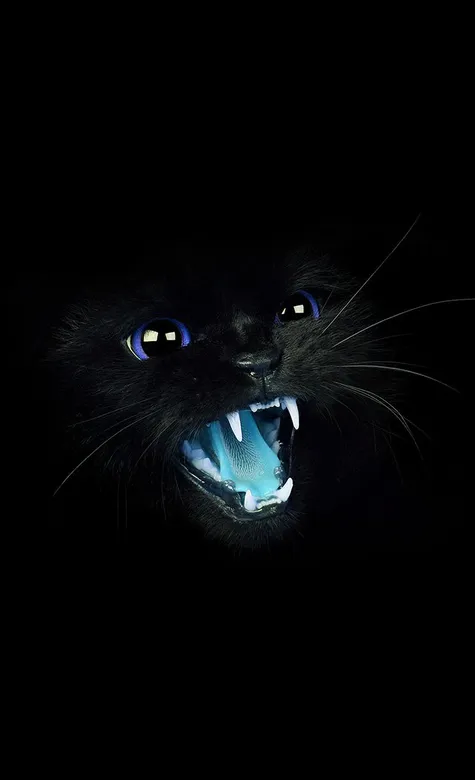 张开大嘴的黑猫酷炫壁纸