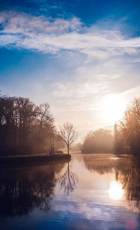 平静的湖面森林手机壁纸