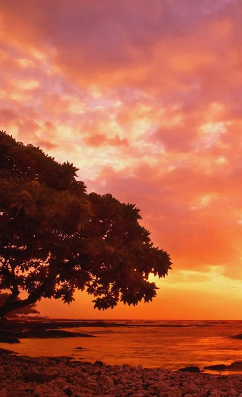 夕阳下的大自然唯美小米手机壁纸图片