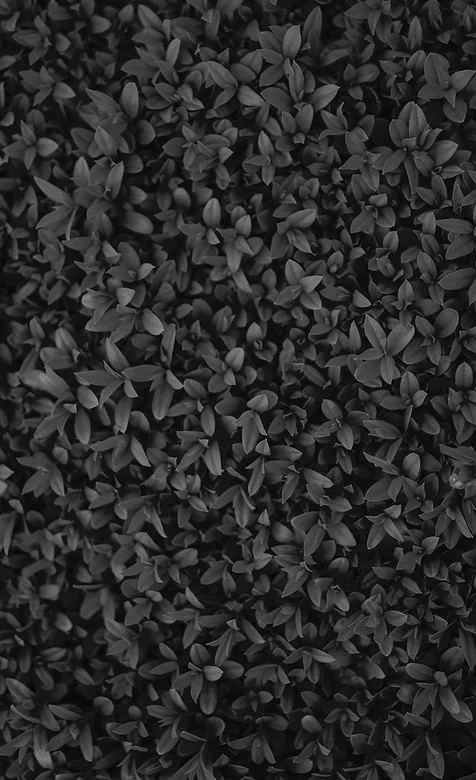 创意草墙灰色系高清壁纸图片