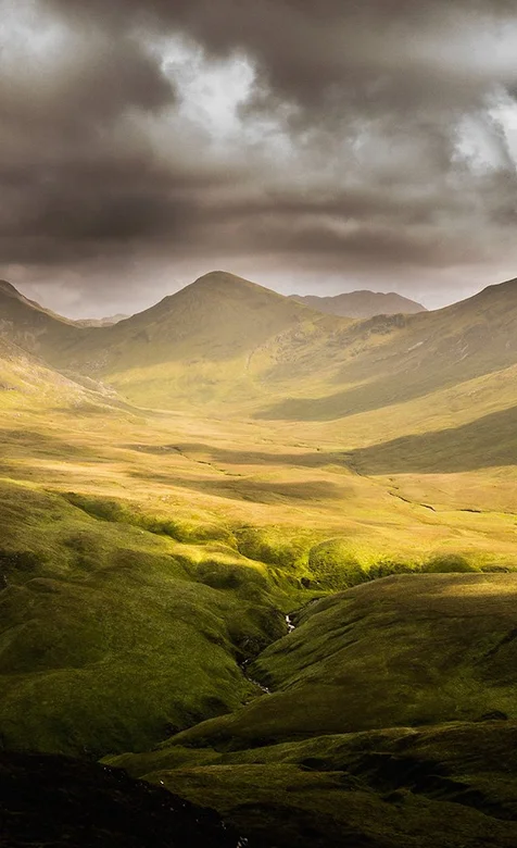 乌云下的麦田手机壁纸下载