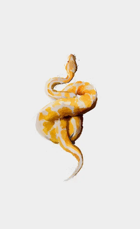 黄色斑纹蟒蛇高清手机背景下载