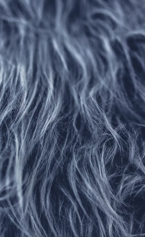 个性皮毛高清手机背景图片