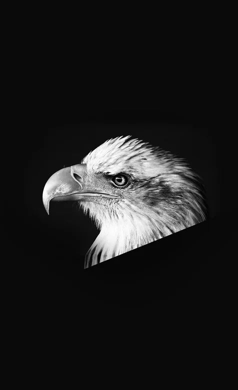 黑色背景个性雕头手机壁纸免费下载