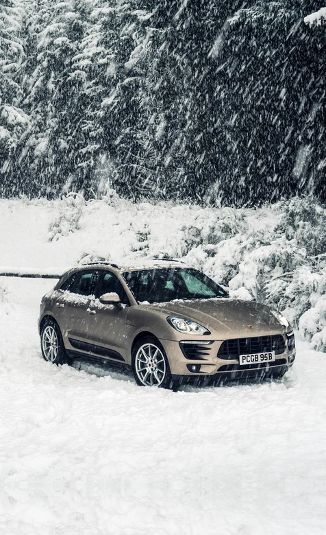 雪地里的土豪金保时捷高清手机壁纸