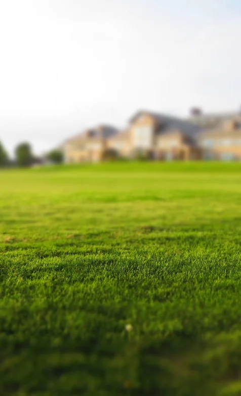 欧美城堡前的草地手机壁纸