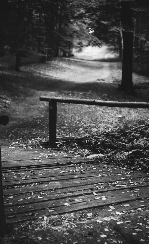 森林的木栅道黑白色系唯美手机壁纸