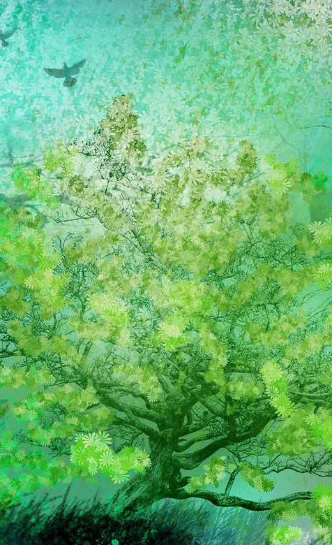 绿色护眼手机壁纸-森林的大树