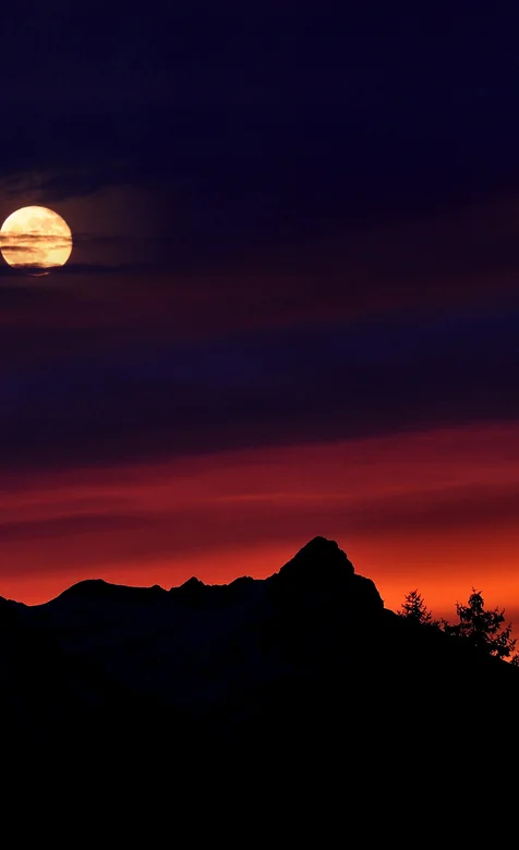 风景无限好只是近黄昏