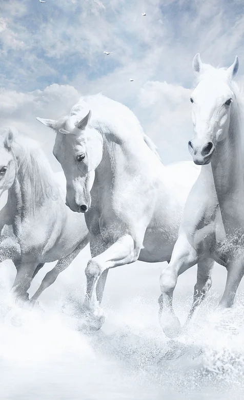 云彩上的白色骏马手机壁纸