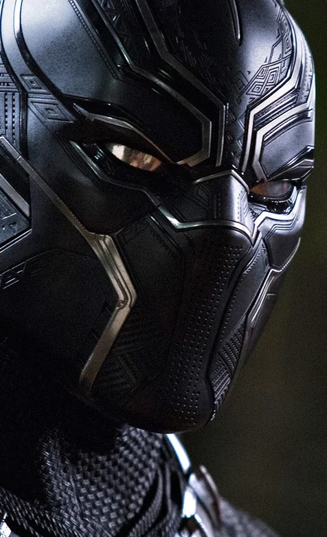 全服武装的黑豹头像壁纸