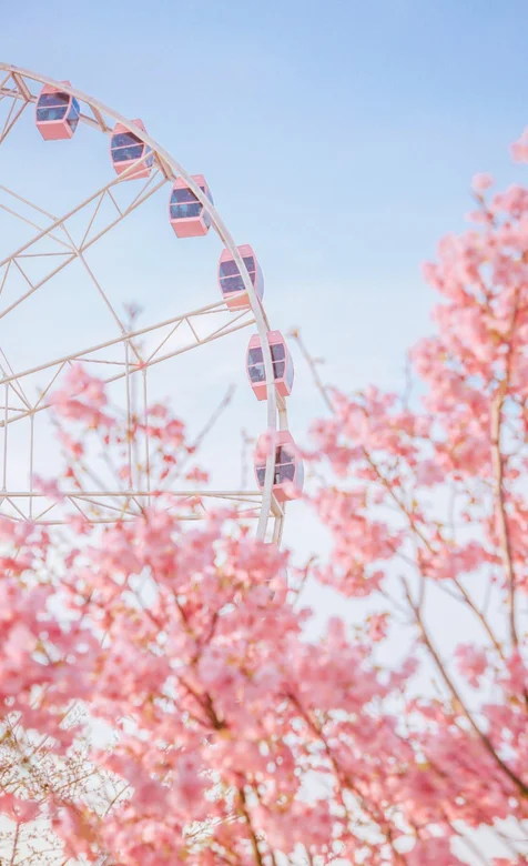 摩天轮 樱花 蓝天唯美手机壁纸