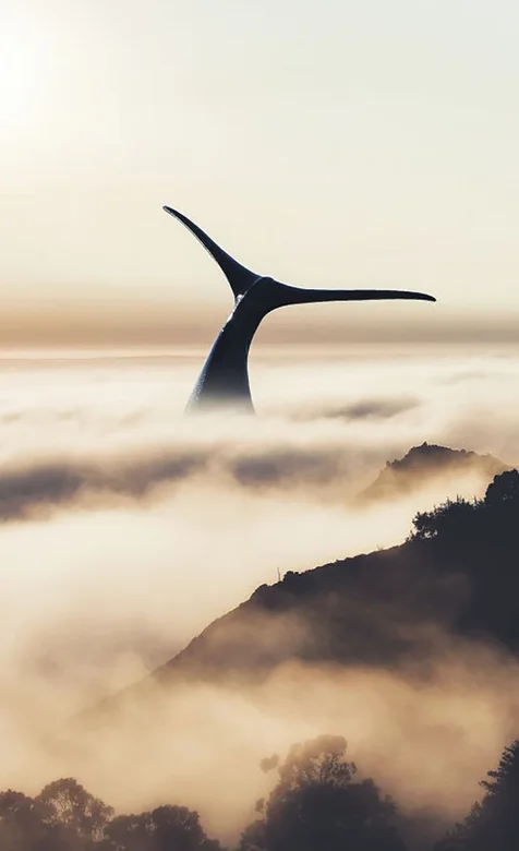 北冥有海，其名为鲲，云海 大山 鲲手机壁纸
