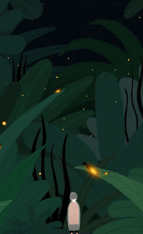 二次元 孤独的夜 孤单的男孩，一个人走在巨大的丛林图片