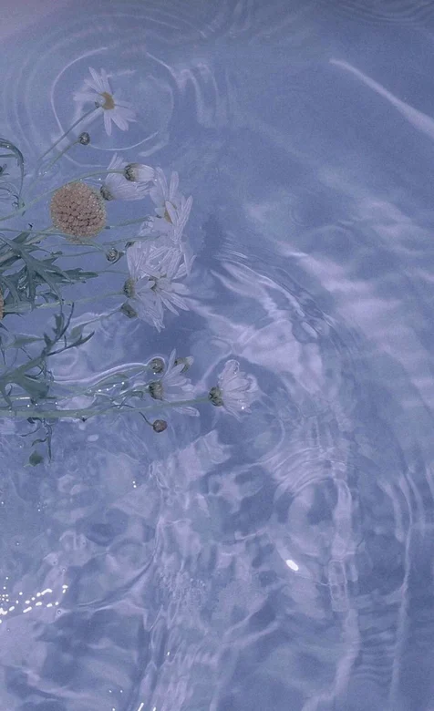 清澈的湖水，生长在湖边野菊花在水中，不时荡起波纹